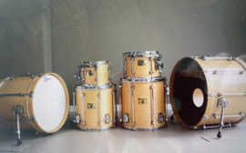 PREMIER  modern SIGNIA blank maple 22 (bs)-18 (bs)-10-12-14f-16fl... en  vintage snaredrums  175,-...