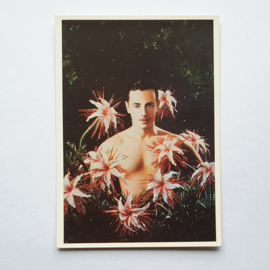 pierre et gilles "patrick dans les fleurs" ansichtkaart art postcard 1983