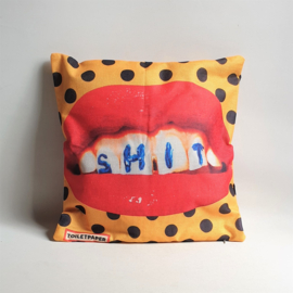 toiletpaper kussen art "shit on teeth" cushion