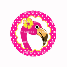 (FB594) Flamingo stip
