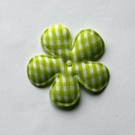 35mm gingham ruit bloem lime groen