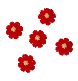 rode bloem flatback 5 stuks
