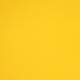  kwalitieit geel lak pu leer (32x21mm)