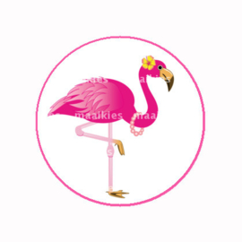 (FB591) Flamingo