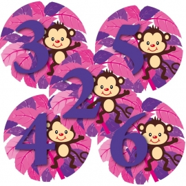 Verjaardags button AAP ROZE 1-6 jaar