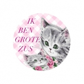 FB70) button grote zus poesje