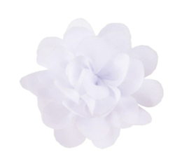 5cm bloem wit