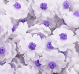 wit bloem  paars kern flatback
