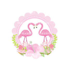 (FB595) Flamingo verliefd