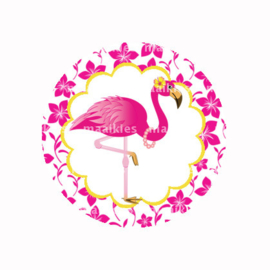 (FB592) Flamingo fuchsia bloem