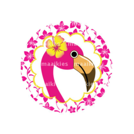 (FB597) Flamingo bloem