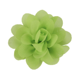 5cm bloem fel groen