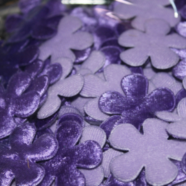 fluweel bloem paars