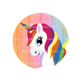 (FB639) unicorn pastel regenboog