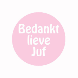 (FB808)BEDANKT LIEVE JUF ROZE