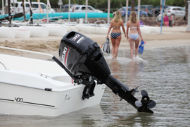 Suzuki Outboard | DF30ATS