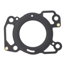 F2.5-01.03.01.00 | Cylinder gasket assembly