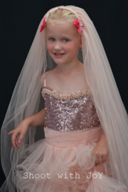 1116: Prinsessenfeest van Prinses Maud