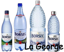 Borsec koolzuur houdend mineraal water   1,5 L