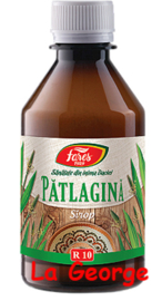 Fares Weegbree, R10, siroop, 250 ml