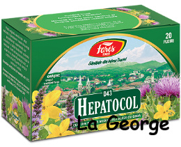 Fares Hepatocol thee 20 zakjes