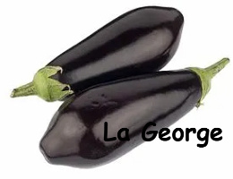 Roemeense Aubergine kwaliteit I  Prijs per kg
