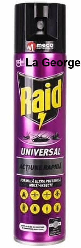 Raid universele insectenspray met snelle werking 400 ml