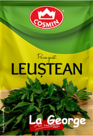 Cosmin leuștean 6g