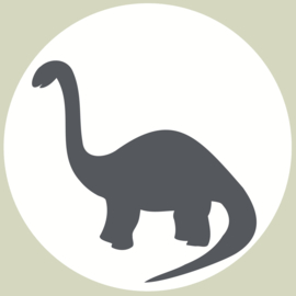 Dino Muurcirkel  Set van 5