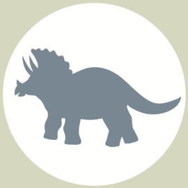 Dino Muurcirkel  Set van 5