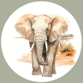 Safari Dieren Muurcircel Set van 5