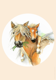 Poster  paard met veulen