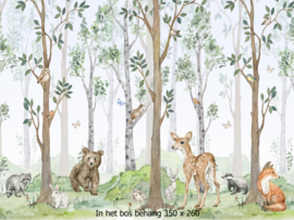 Behang kinderkamer in het bos - bosdieren