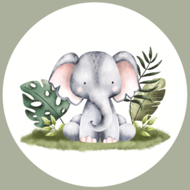 Jungle Safari  Muurcirkel Set van 5