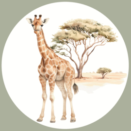 Safari Dieren Muurcircel Set van 5
