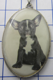 Ketting met verzilverde hanger hond HAN518