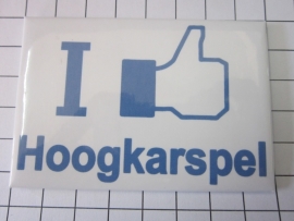 121 Magneet I like Hoogkarspel