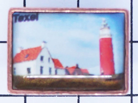 PIN_NH3.003 pin Texel