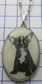 Ketting met verzilverde hanger hond HAN518