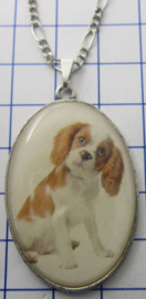 Ketting met verzilverde hanger hond roodbruin wit HAN516