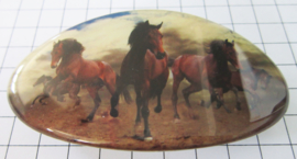 HAO513 Haarspeld ovaal 8 cm met groep mooie bruine paarden op zandgrond, made in France haarklauw