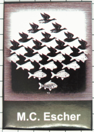 KoelKastmagneet M.C. Escher 20.551