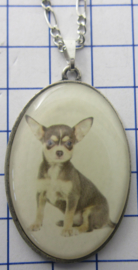 Ketting met verzilverde hanger hond HAN515