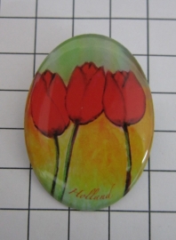 BRO 604 broche rode tulpen