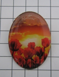 BRO 606 broche rode tulpen avond