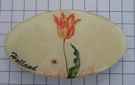 Haarspeld ovaal 8 cm HAO 310 schilderij oude tulp, origineel in rijksmuseum, made in France haarclip, beste kwaliteit, klemt uitstekend.