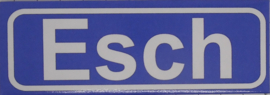 Koelkastmagneet plaatsnaambord Esch