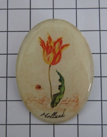 BRO 600 broche geschilderde rood gele tulp