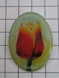 BRO 602 Broche Tecla tulp