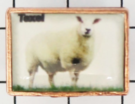 PIN_NH3.006 schaap Texel